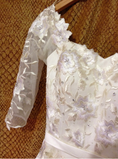 closer view of bodice and sleeve-dana2013